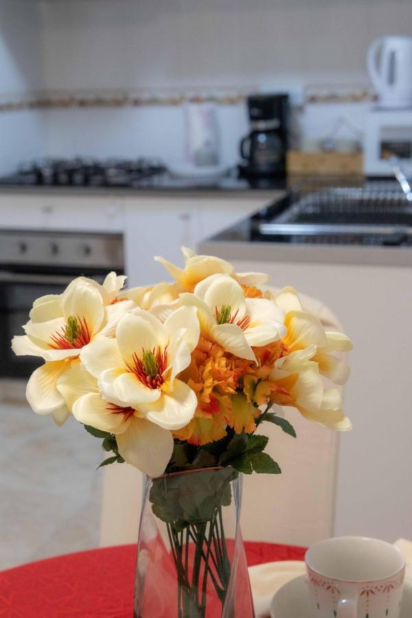 Apartamento Del Pla อาลิกันเต ภายนอก รูปภาพ